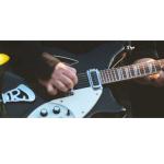 Peter Buck's guitar