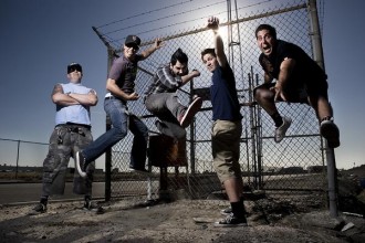 zebrahead