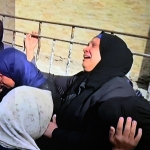 By the UK & Others - Gallery: Gaza - Too Little, Too Late