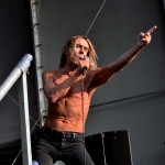 Iggy And The Stooges