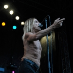 Iggy & The Stooges