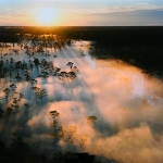 Americas - Gallery: Wild Wonders